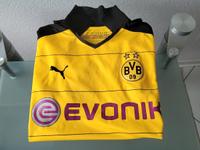 Puma BVB Dortmund Trikot Evonik Größe M Häfen - Bremerhaven Vorschau