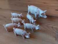 Playmobil Schweine Herzogtum Lauenburg - Berkenthin Vorschau