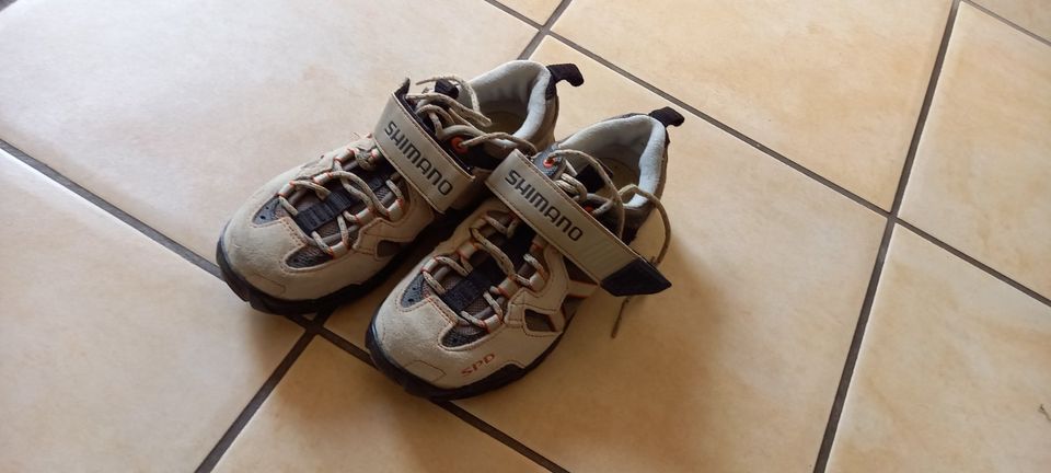 hellgraue Shimano Radschuhe Gr. 38 (Frauen) in Deckenpfronn