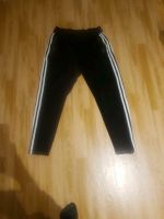 Adidas Performance Hose Trainingshose Jogginghose Brandenburg - Petershagen Vorschau