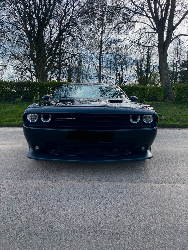 Dodge Challenger 3.6 SXT Plus in Frankfurt am Main