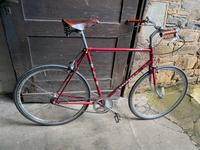 Peugeot Singlespeed Lindenthal - Köln Sülz Vorschau