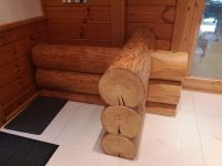 Holz Naturstamm für Bett Möbel ect. Schleswig-Holstein - Norderstedt Vorschau