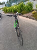 Fahrrad Damen Niedersachsen - Nordhorn Vorschau