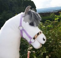 Hobby Horse Aufträge Baden-Württemberg - Mannheim Vorschau