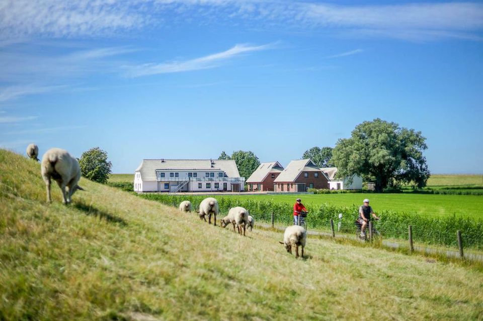 Ferienappartement in Tossens – 7 Nächte Nordseeurlaub (bis 4 P.) in Butjadingen