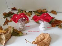 Fliegenpilz Amigurumi gehäkelt Herbstdekoration Pilz rot Hessen - Alsfeld Vorschau
