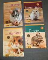 Buch: Ratte, Rennmaus, Degu, Hamster Nordrhein-Westfalen - Warendorf Vorschau