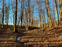 Suche Wald, Waldgrundstück, Waldfläche, Forst zu kaufen Nordrhein-Westfalen - Oelde Vorschau