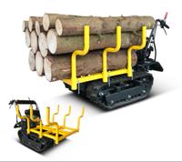 BAMATO Mini Transporter MTR-300H mit Holzrungenaufsatz Dumper Sachsen - Radebeul Vorschau