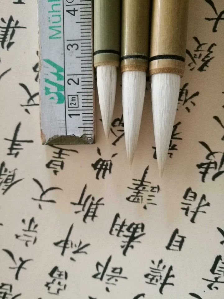 Chinesische Kalligrafie Pinsel Set,Größe S bis L in Pfullingen