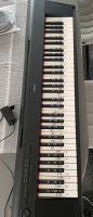 Yamaha Keyboard piaggero NP 12 Niedersachsen - Neuenkirchen - Merzen Vorschau