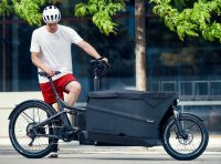 % Riese und Müller Cargobike Packster 70 vario urban grey matt Hessen - Trebur Vorschau