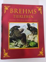 Das berühmte Buch Brehms Tierleben Liebhaber-Ausgabe Schleswig-Holstein - Flensburg Vorschau