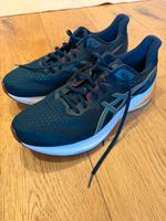 Asics GT-2000 12 Gr. 46 sehr guter Zustand Hessen - Birstein Vorschau