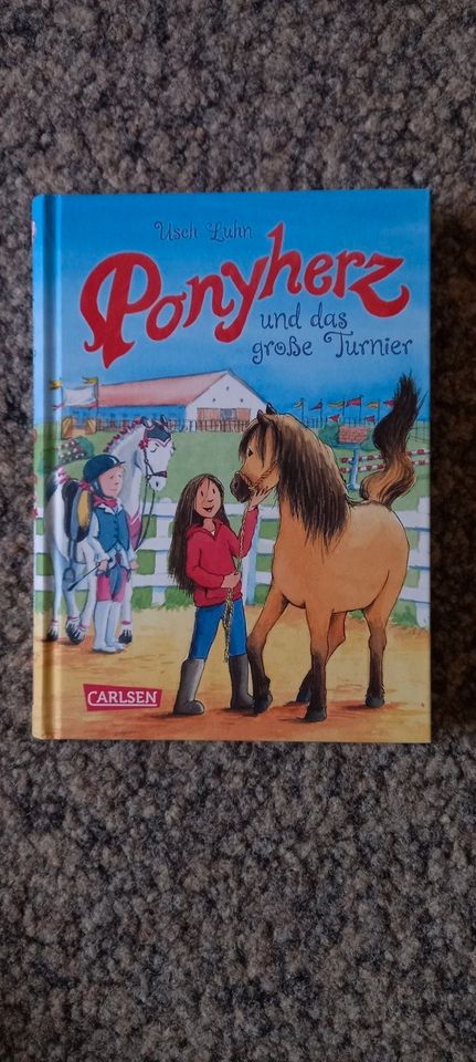 4 Bände der Buchreihe Ponyherz in Rochlitz