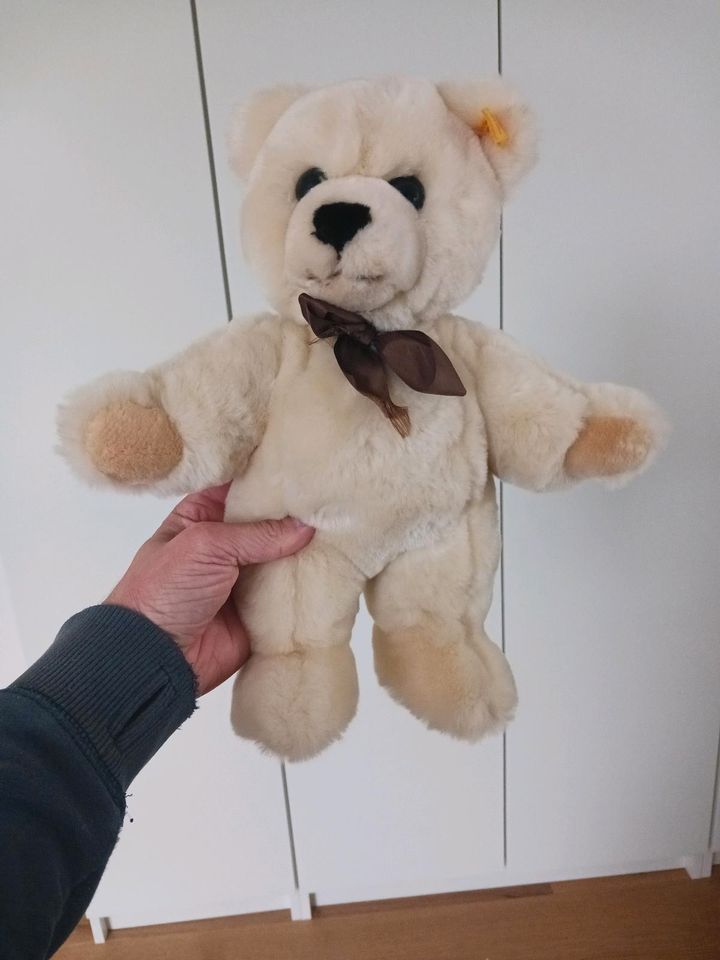 Steiff Teddybär in Bad Bocklet