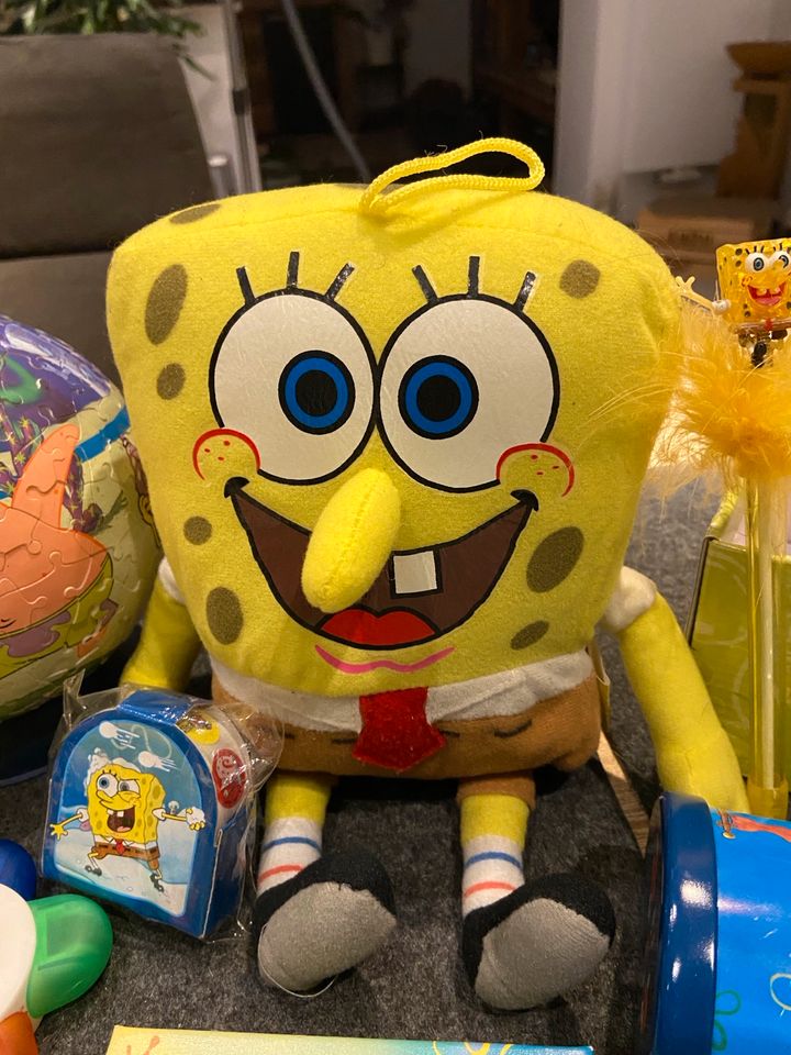 Spongebob Sammlung in Ruppichteroth