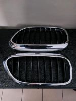 Original BMW 5er G30 Nieren/ Grill Chrom Westerwaldkreis - Girod Vorschau