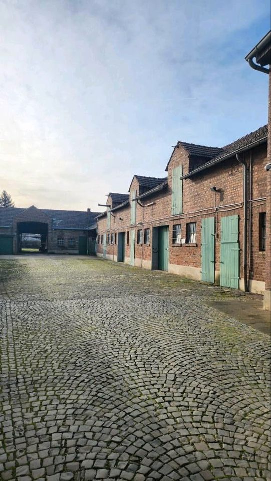 Ehemaliger Bauernhof mit Wohnhaus-Scheune-Stallungen-Remise + 513qm erschlossenes Bauland mitten in Birkesdorf in Düren