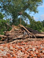 Holz zu verschenken Ludwigslust - Landkreis - Wittenburg Vorschau