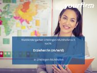 Erzieher/in (m/w/d) | Uhldingen-Mühlhofen Baden-Württemberg - Uhldingen-Mühlhofen Vorschau