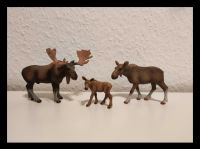 ❤️ Schleich - Elche Familie, Elchkuh, Elchkalb Berlin - Hohenschönhausen Vorschau