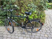 Herrenfahrrad Rabeneick 28 Zoll zu verkaufen Nordrhein-Westfalen - Recke Vorschau