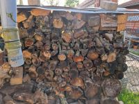 Holz vom Apfelbaum und teilweise unbehandelte Bretter Bayern - Augsburg Vorschau