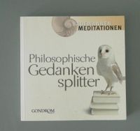 Buch Philosophische Gedankensplitter Meditationen Baden-Württemberg - Gailingen am Hochrhein Vorschau