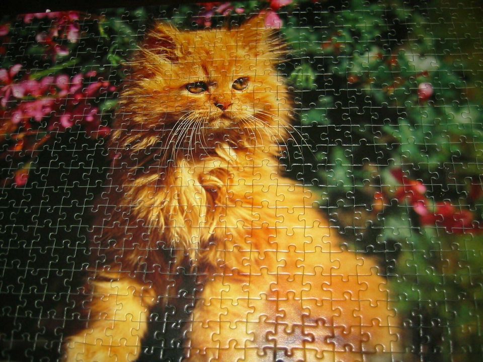 Puzzle, 500 Teile, Ravensburg, Katze, Perserkatze in Hagen