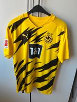 BVB Borussia Dortmund Trikot Haaland Niedersachsen - Hildesheim Vorschau