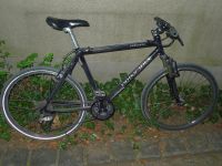 Principia Carbon MTB- Grösse 46 München - Ludwigsvorstadt-Isarvorstadt Vorschau