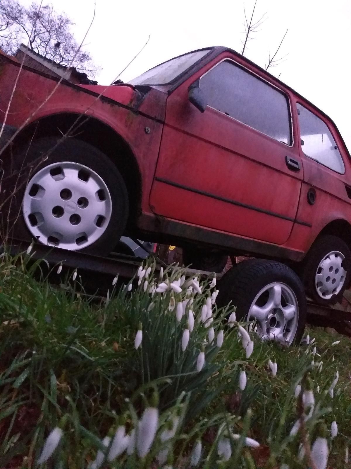Abbildung des Autos Fiat 126 , geschlachtet