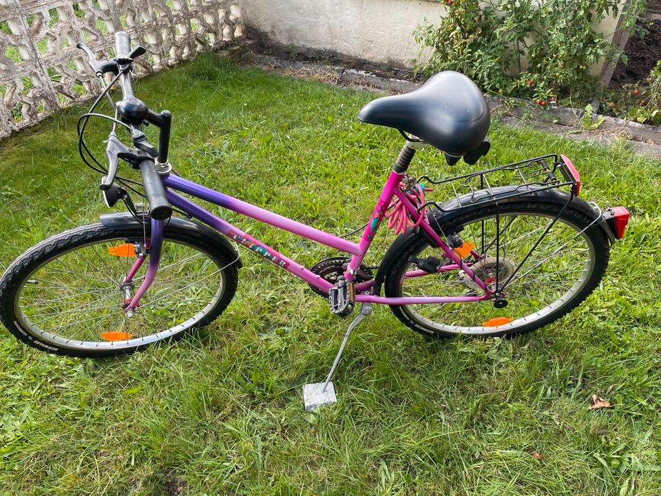 Damenrad Fahrrad Pink Lila gebraucht mit Schloss Clipper in Ronshausen