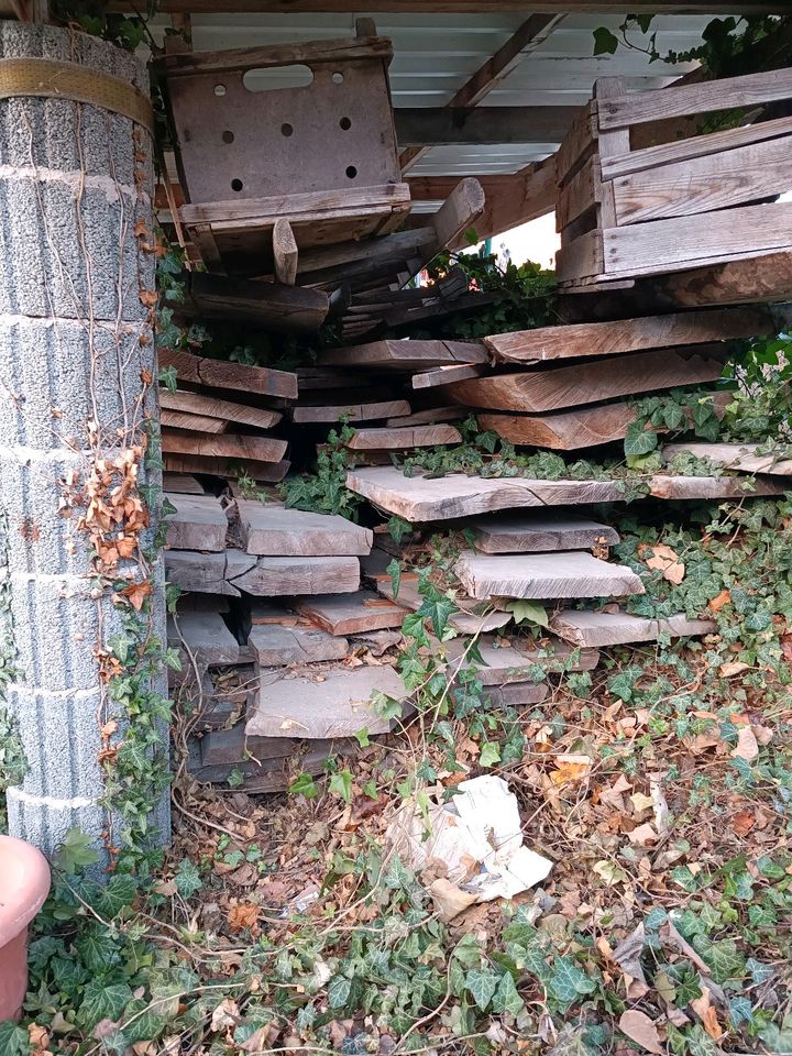 Holz Buche Bohlen Bretter ca.2 Kubikmeter in Nebra (Unstrut)