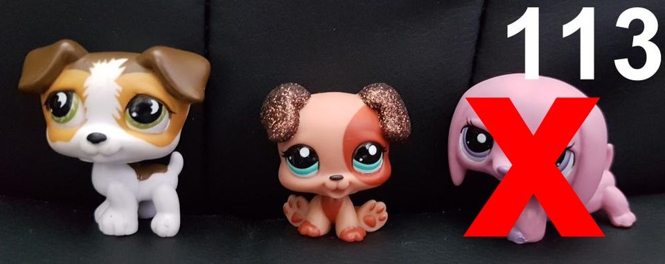 SAMMLUNGSAUFLÖSUNG - LPS/Littlest Petshop - Teil 8 in Chemnitz