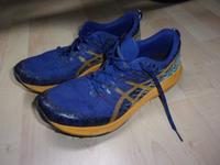 Asics Fuji Lite 2 Laufschuhe Größe 44,5 Baden-Württemberg - Hüttlingen Vorschau