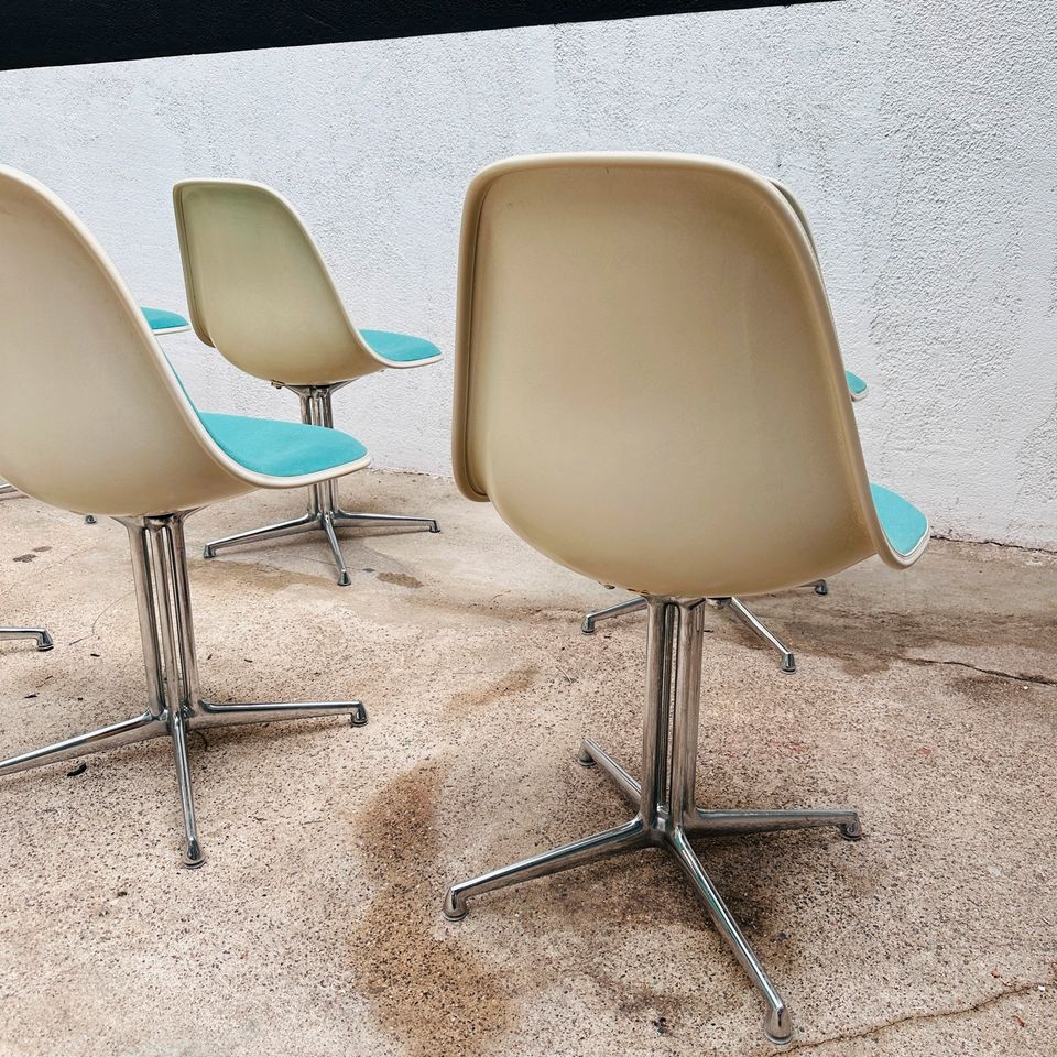 8x Herman Miller / Vitra | Charles & Ray Eames | Fiberglass Side Chairs / Sidechairs | Fiberglas | Vintage Mid-Century Designklassiker in Köln