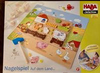 Nagelspiel HABA Hessen - Baunatal Vorschau