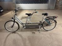 Gazelle Tandem Fahrrad Baden-Württemberg - Wildberg Vorschau