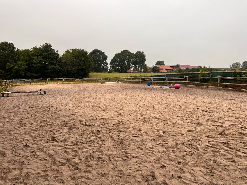 Rentnerbox/ Ponybox/ Stall frei/ Box frei in Wittenborn