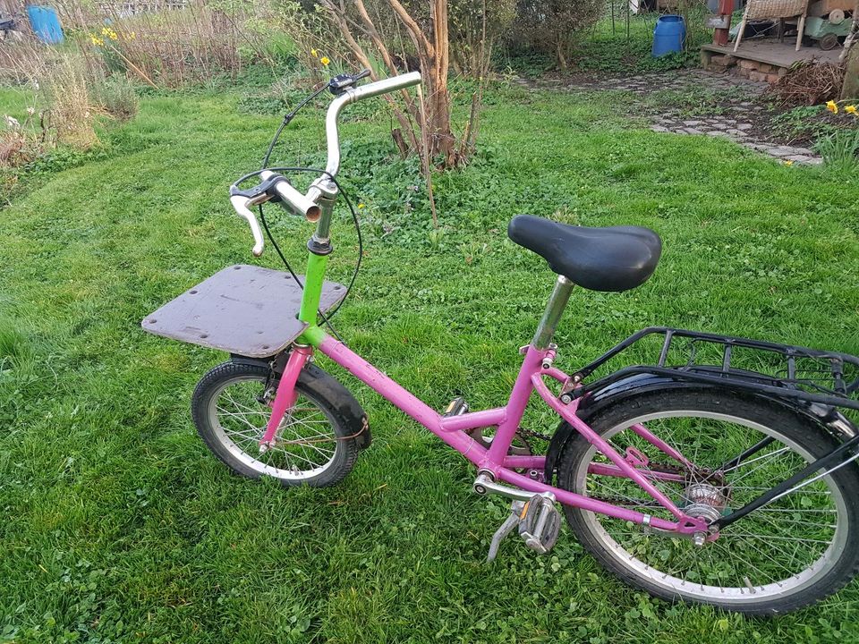 Lastenrad für Kinder 20" / 16" in Kassel