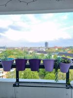 6 Töpfe für Balkon Berlin - Wilmersdorf Vorschau