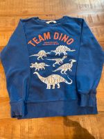 Pulli Pullover Junge Dino H&M 134-140 Rheinland-Pfalz - Bendorf Vorschau