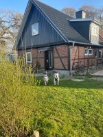 Ferienhaus Ostsee/Haus/Kamin/Zaun/See/Hund/Gravel/Angeln❤️❤️ Schleswig-Holstein - Blekendorf Vorschau