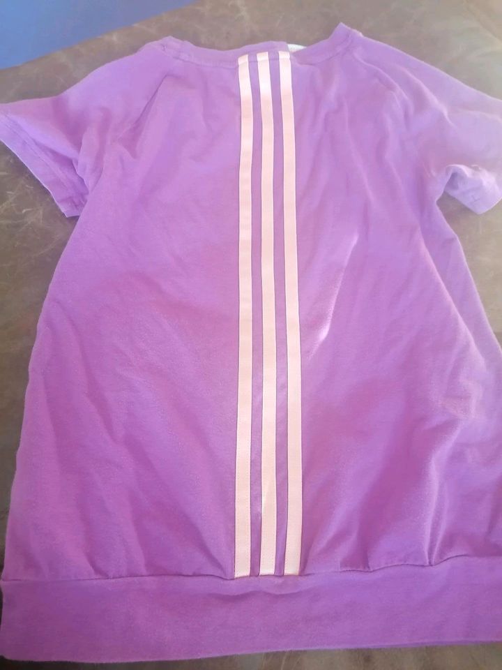 Sport Shirt Adidas in Porta Westfalica