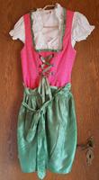 Dirndl rosa pink grün mit weißer bluse gr. 38 m Hessen - Mossautal Vorschau