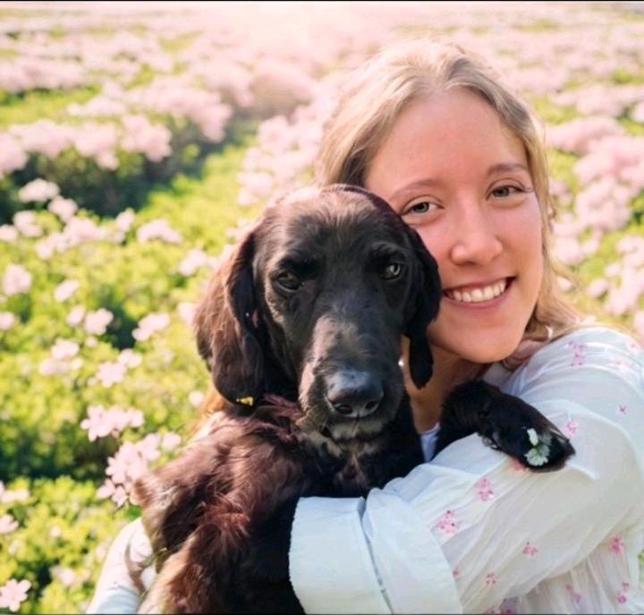 UNENTGELTLICHE HUNDESPAZIERGÄNGE in Lübeck