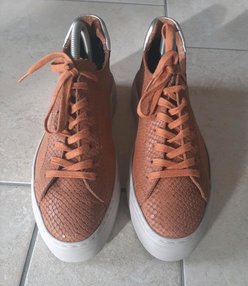 Sneaker/Halbschuhe Echtleder Farbe Cognac Gr. 39 in Bad Grönenbach